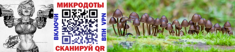 Купить  Петровск-Забайкальский  Галлюциногенные грибы MAGIC MUSHROOMS 